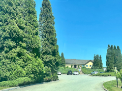 Vineyards of the North Fork